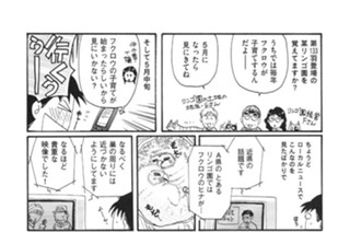 第１５４羽 표지