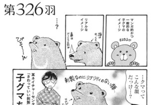 第３２６羽 표지