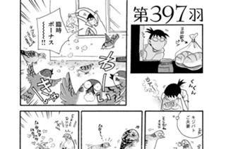 第３９７羽 표지