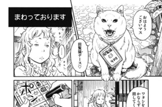 プ〜ねこ（７０） 표지