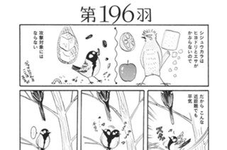第１９６羽 표지