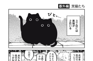 19화 番外編10 표지