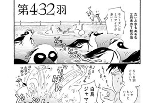 第４３２羽 표지