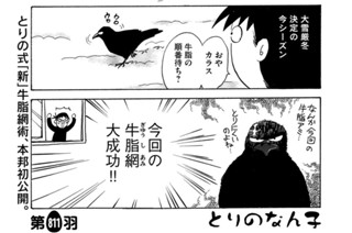 第８１１羽 표지