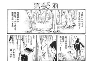 第４５羽 표지