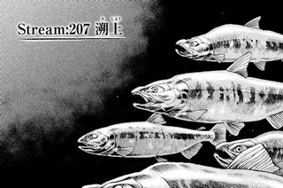 Ｓｔｒｅａｍ：２０７ 遡上（そじょう） 표지