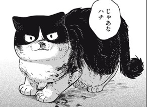 第１１話 ハチの選択 표지