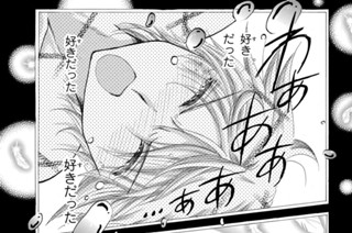 ＥＰＩＳＯＤＥ ２１ 運命の嵐② 표지