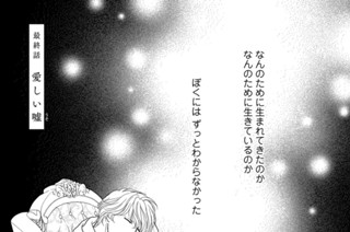 29화 最終話 愛しい嘘 표지