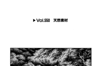 Vol.５５０ 天然素材 표지