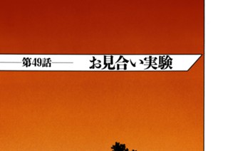 第４９話 お見合い実験 표지