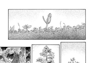 常の樹 표지