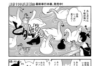 第８５０羽 표지