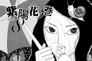 8화 ８ 紫陽花ノ巻 ＡＪＩＳＡＩ 표지