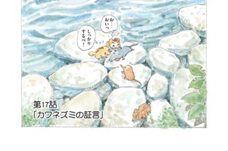 第１７話 「カワネズミの証言」 표지