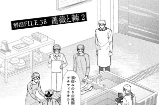 解剖ＦＩＬＥ．３８ 薔薇（ばら）と棘（とげ） ２ 표지