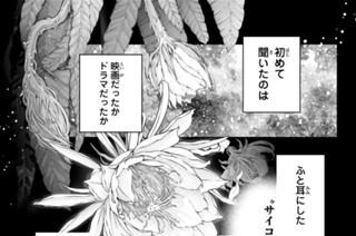 第７５話 リセットは怖い１ 표지