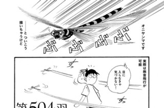 第５０４羽 표지