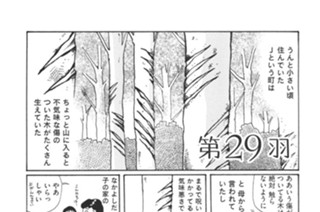 第２９羽 표지