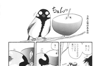 第２９２羽 표지