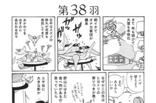 第３８羽 표지