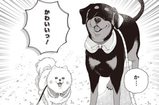 第44話 표지