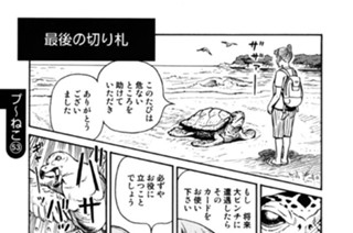 プ〜ねこ（５３） 표지