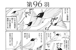 第９６羽 표지