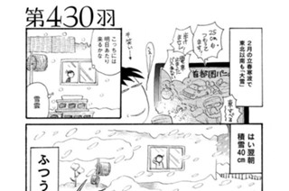 第４３０羽 표지