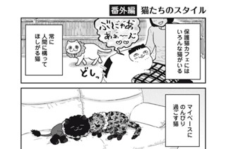 97화 番外編46 猫たちのスタイル 표지