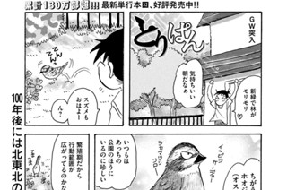 第９２４羽 표지