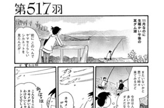 第５１７羽 표지