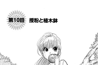 第１０回 授粉と植木鉢 표지