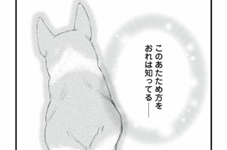 第5話-1 おれの弟は68歳｜コーギー(オス) 표지