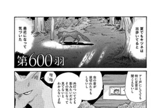 第６００羽 표지