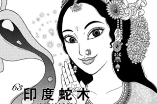 63화 ６３ 印度蛇木 ＩＮＤＯＪＹＡＢＯＫＵ 표지