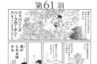 第６１羽 표지