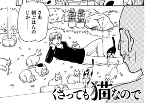 第１１話 吾輩は猫だったので 표지