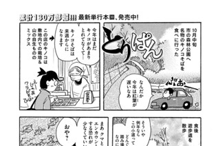 第８４８羽 표지