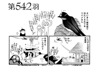 第５４２羽 표지