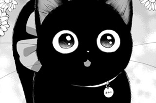 ライフ５ 触れてほしくないこと（３） 표지