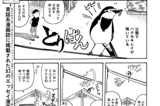 第６９２羽 표지