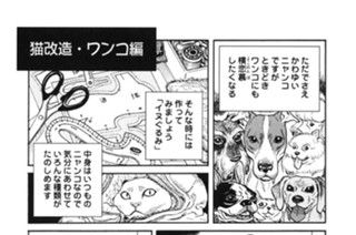 プ〜ねこ（３９） 표지
