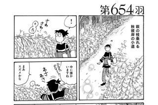 第６５４羽 표지