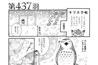 第４３７羽 표지