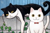 第１話 マルルとハチ 표지