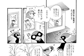 第４２８羽 표지