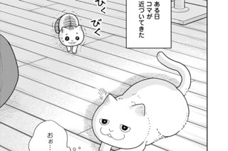 第４０話 怖くない猫 표지