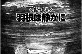 第十五幕 羽根は静かに〈其の二〉 표지