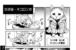 プ〜ねこ（３５） 표지